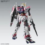 MG - Narrative Gundam C-Packs Ver. Ka