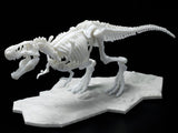 DINOSAUR MODEL KIT LIMEX SKELETON Tyrannosaurus