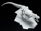 DINOSAUR MODEL KIT LIMEX SKELETON Tyrannosaurus