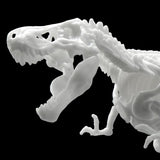 DINOSAUR MODEL KIT LIMEX SKELETON Tyrannosaurus